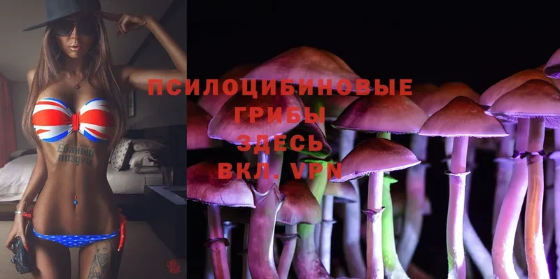 ссылка на мегу онион  Змеиногорск  Псилоцибиновые грибы Magic Shrooms 